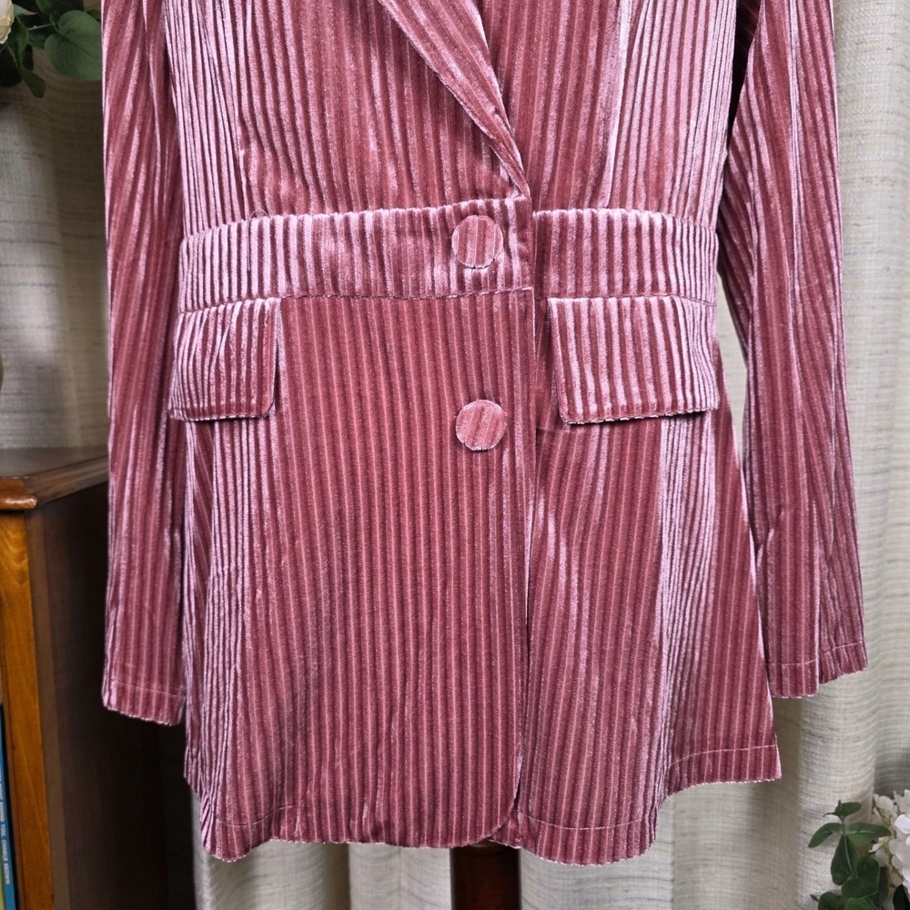 Light Pink Velvet Blazer Boho Romantic Coquette Fairy Size Large - Picture 11 of 16